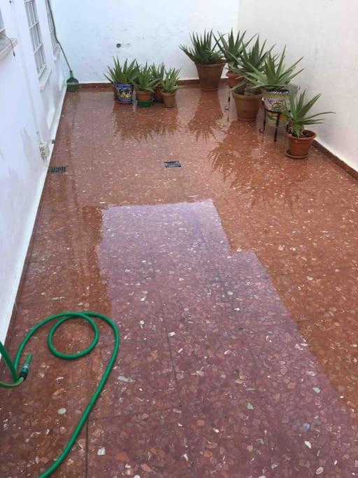 Casa Soleada En Calle Tranquila Sevilla Buitenkant foto