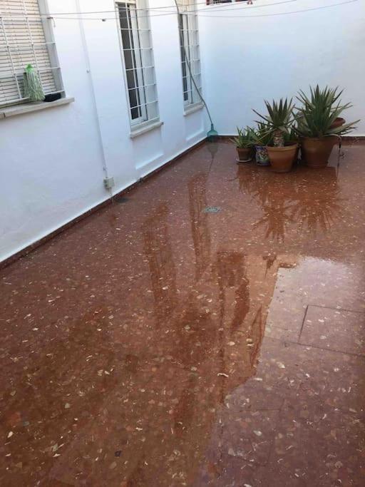 Casa Soleada En Calle Tranquila Sevilla Buitenkant foto