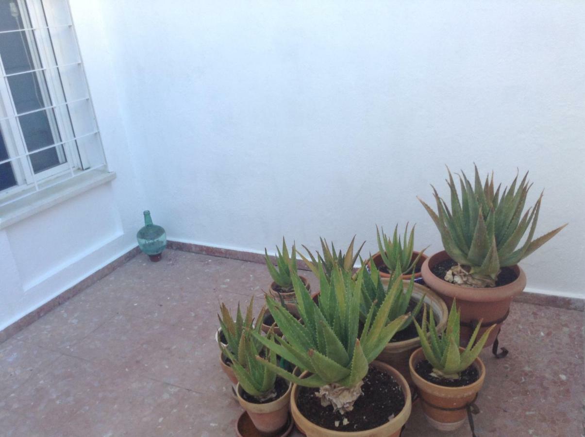 Casa Soleada En Calle Tranquila Sevilla Buitenkant foto
